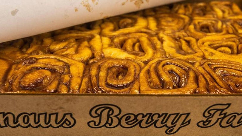 Knaus Berry Farm opens for its 70th season with changes to how customers can get its famous cinnamon rolls — CBS Miami, Coral Springs Business news