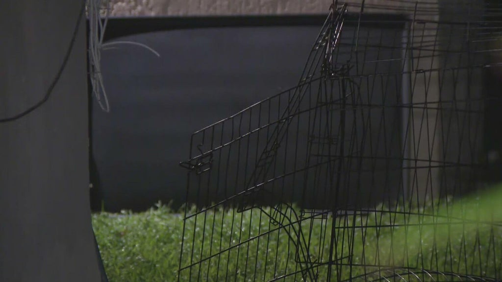 911 call captures frantic report of dog chasing, biting children in Miami — CBS Miami, Coral Springs Health news