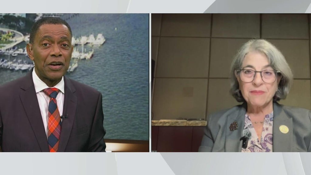 Miami-Dade mayor Daniella Levine Cava speaks on Amendment 3 opposition and county budget woes — CBS Miami, Coral Springs Government news