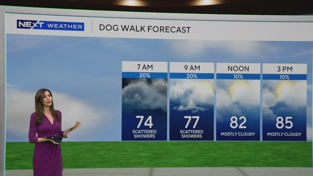 South Florida sees some showers Tuesday, but rain chances rise by end of week — CBS Miami, Coral Springs Community news