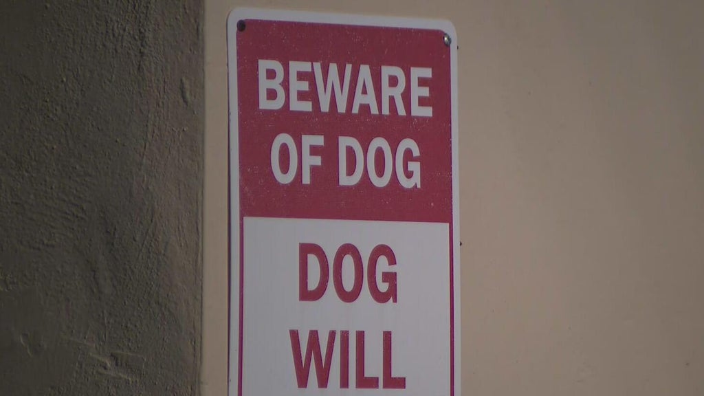 Dog on the loose after attacking a child in northwest Miami-Dade, deputies said — CBS Miami, Coral Springs Health news