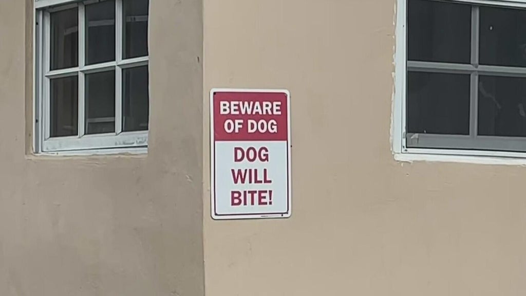 Dog who bit girl in northwest Miami-Dade taken into Animal Services custody — CBS Miami, Coral Springs Community news