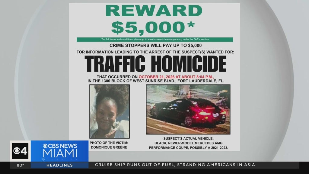 Family of Fort Lauderdale mom killed in hit-and-run pleads for help finding driver — Coral Springs Community news