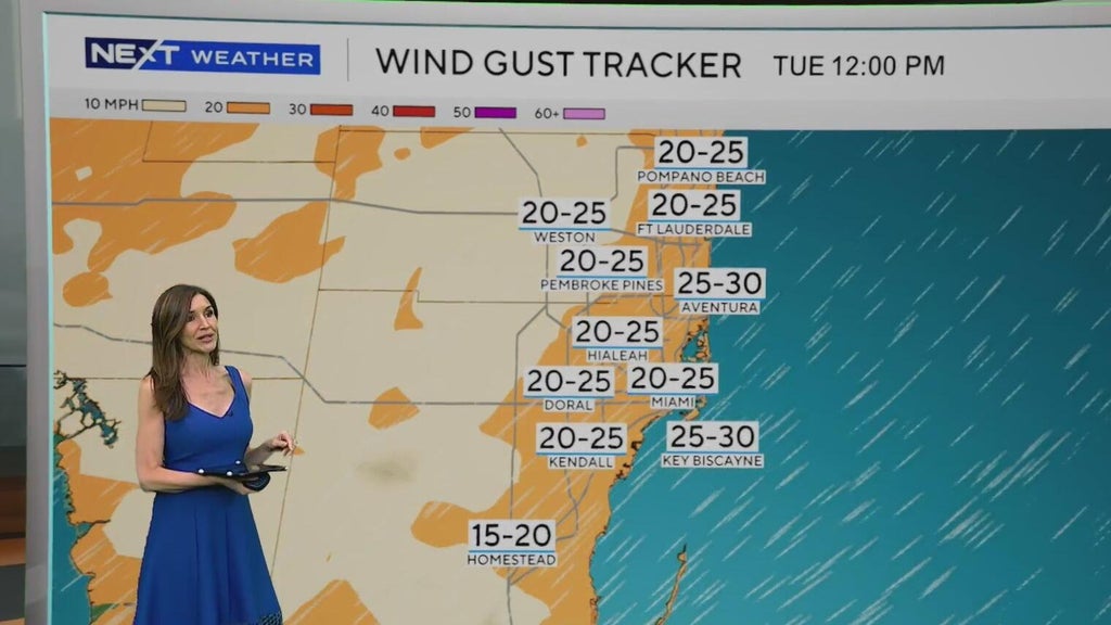 Windy, drier week ahead of taste of fall South Florida style — CBS Miami, Coral Springs Community news
