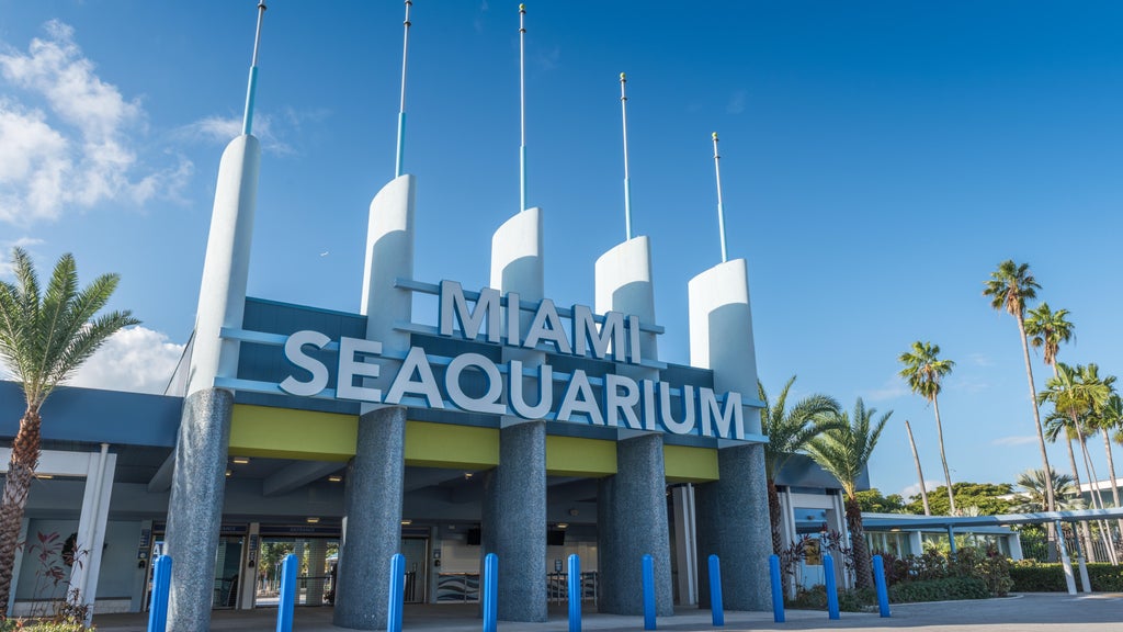 2 Miami-Dade residents sue to require countywide vote on Miami Seaquarium marina development plan — CBS Miami, Coral Springs Real Estate news