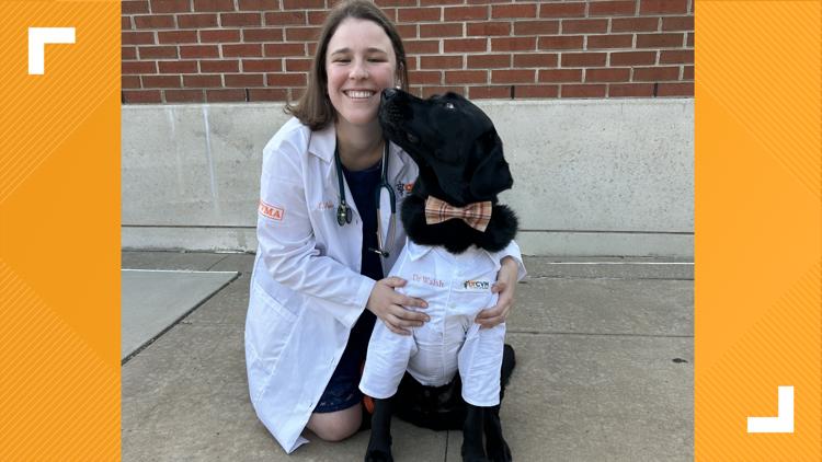 'Dogtor Walsh' reports for duty on the UT campus — KENS 5 (San Antonio), Coral Springs Schools news