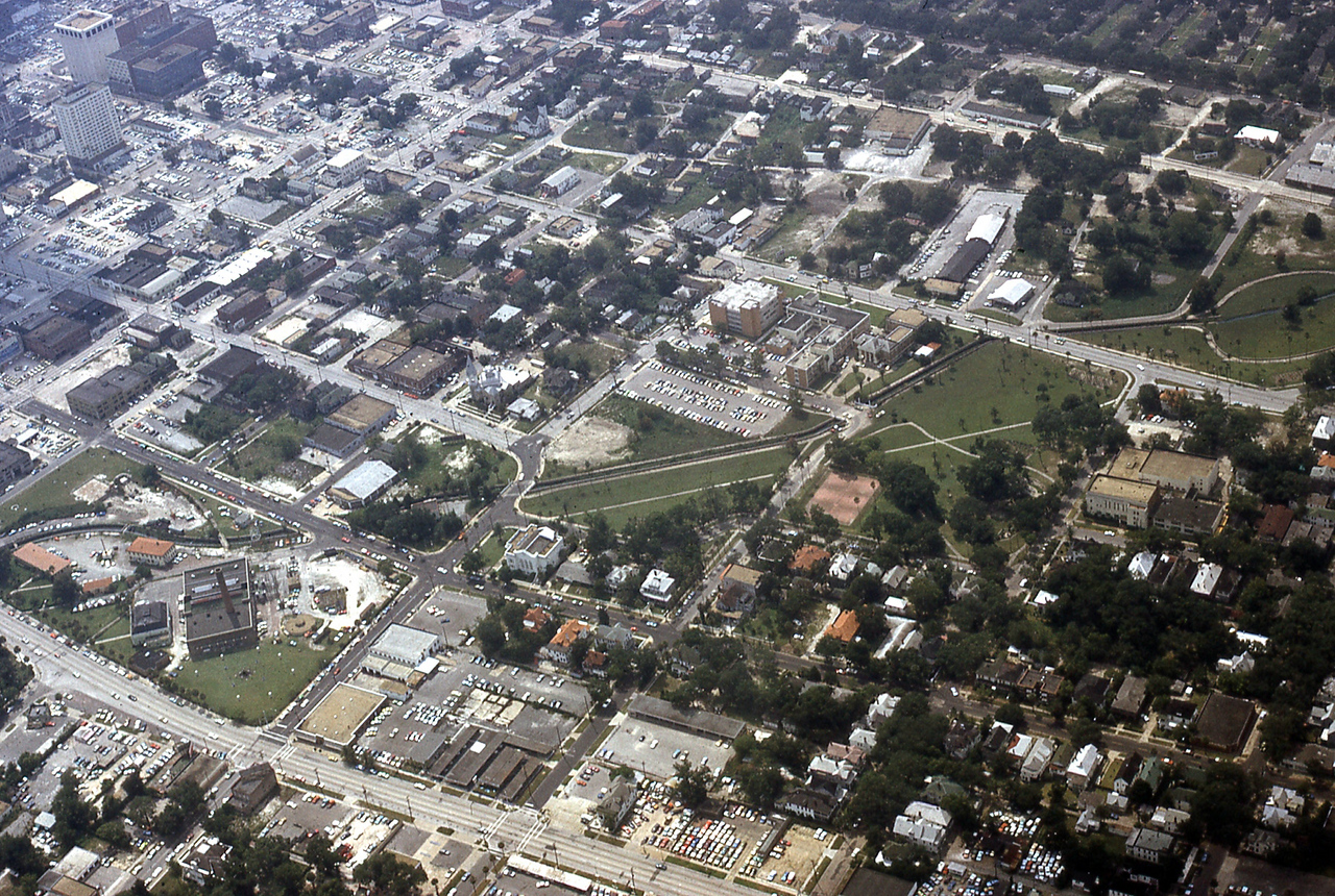 THE JAXSON | The oak tree that remembers Black Bottom — Jacksonville Today, Coral Springs Schools news